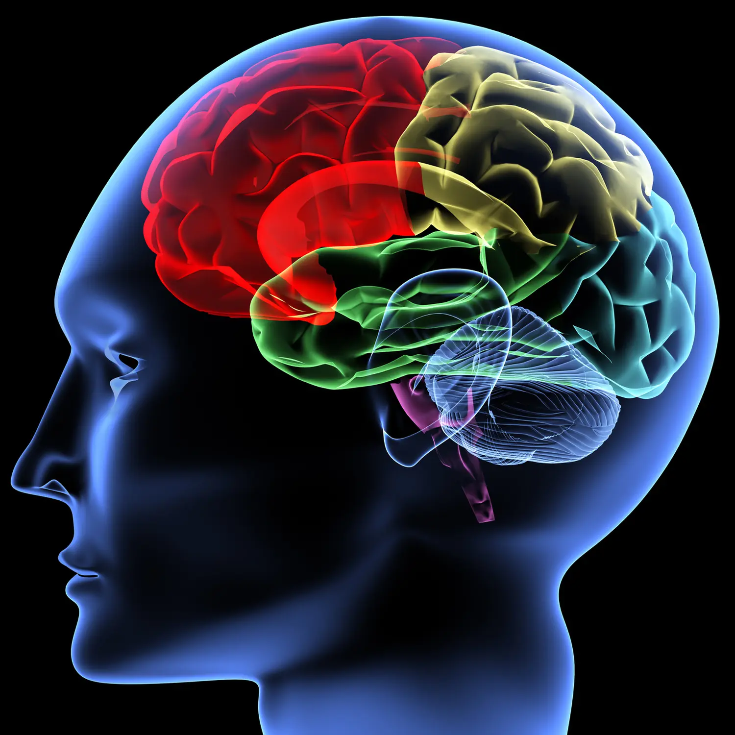 Stefan Herker – Heilpraktiker – Neurologisches Integrationssystem